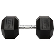 Beyond RX Gear Dumbbells - 27.5 KG