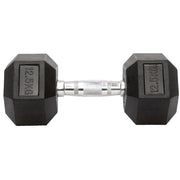 Beyond RX Gear Dumbbells - 12.5 KG